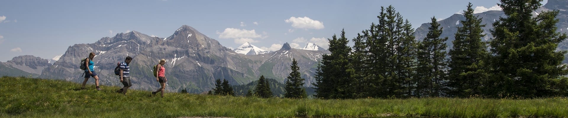 Wandern am VogellisiBerg beim Sillerenseeli