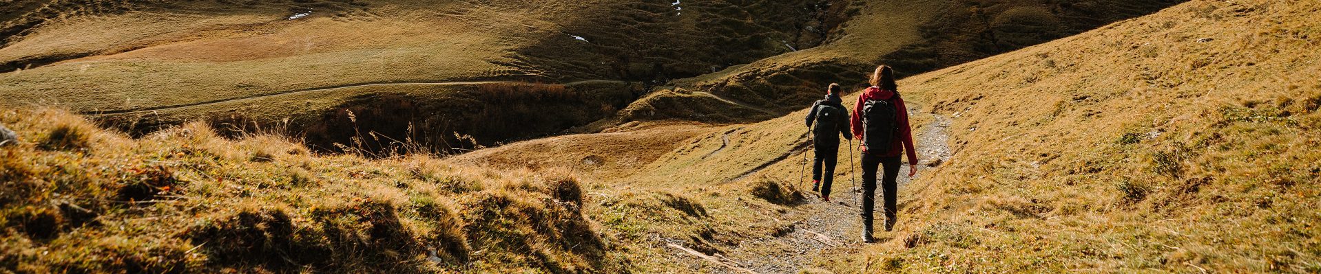 Herbstliche Wanderung am VogellisiBerg