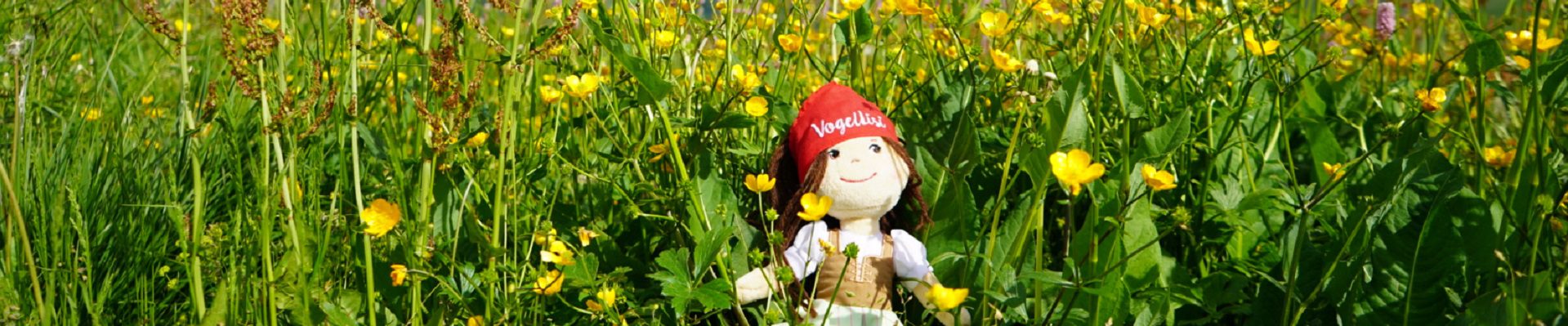 Vogellisi Puppe in Blumenwiese
